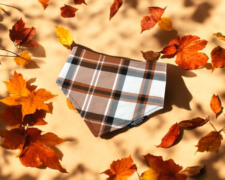 Plafond d'automne