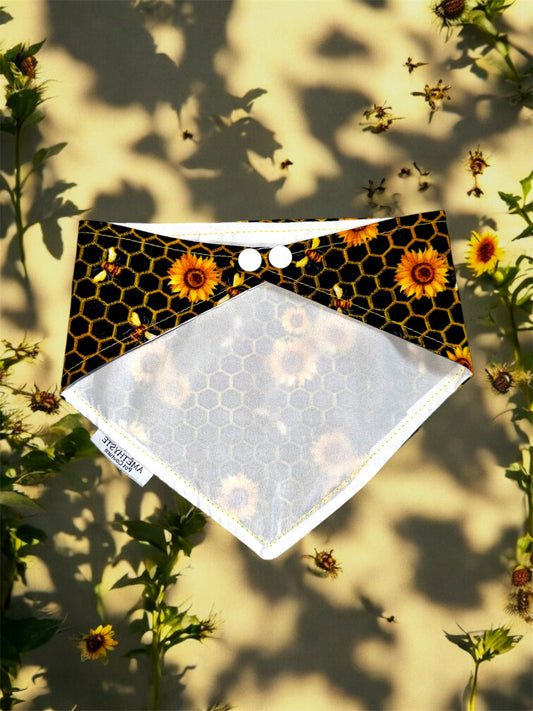 “Honey Comb”🐝