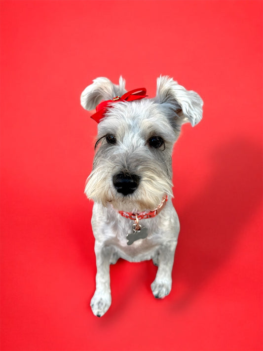 “Cherry Bomb”🍒