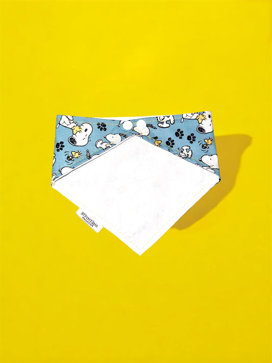 “Fetch & Snooze”