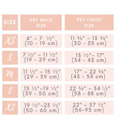 “SuperNova”⭐️