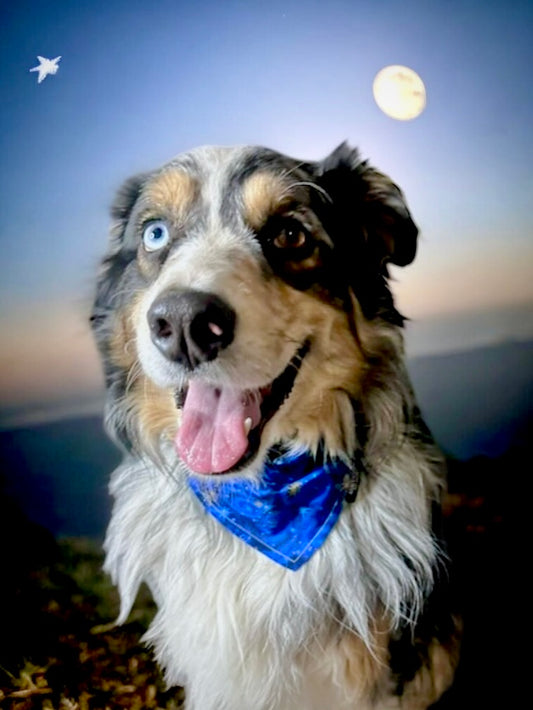 “Full Moon”🌙