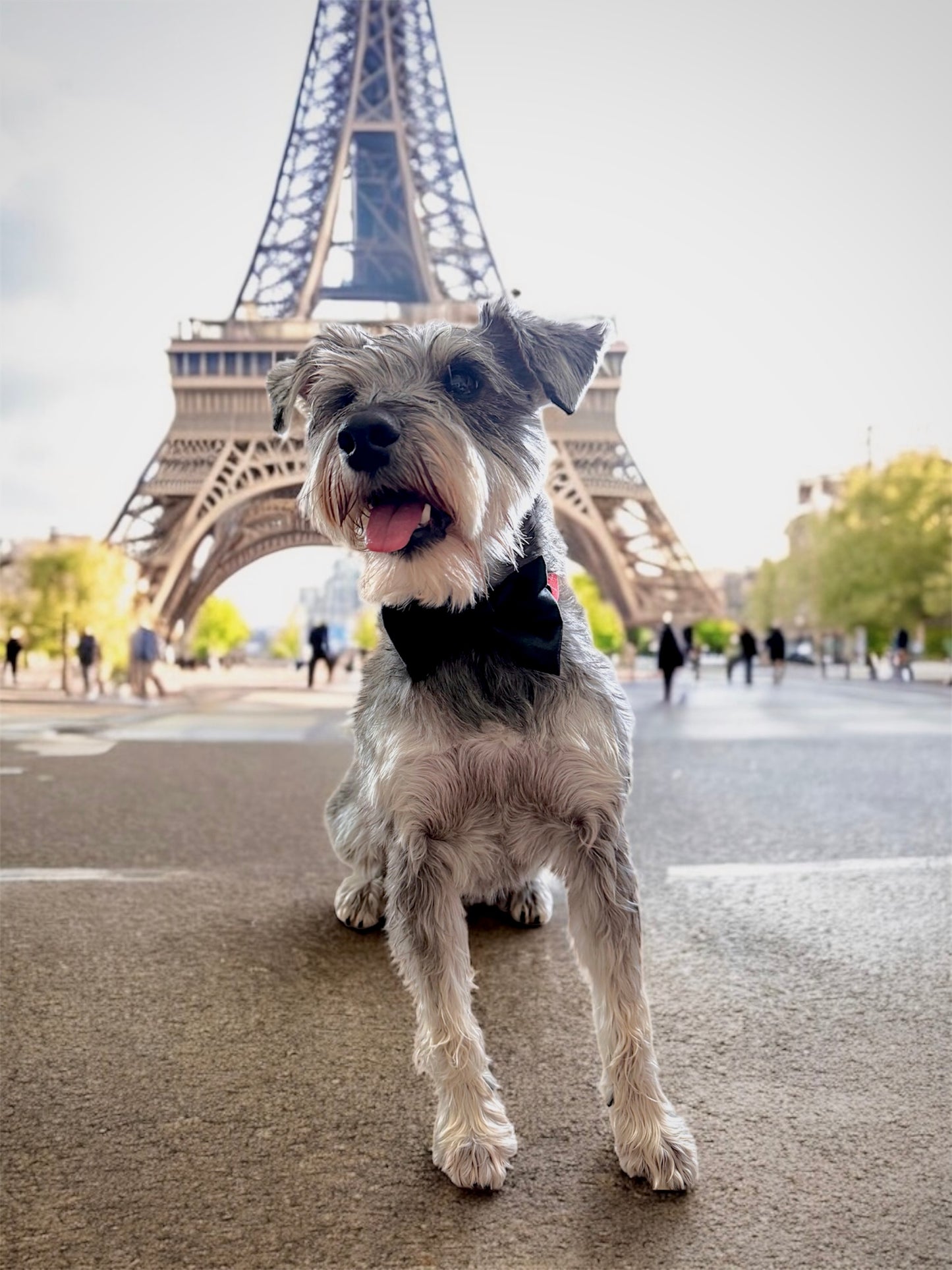 “Extravaganza”🎩