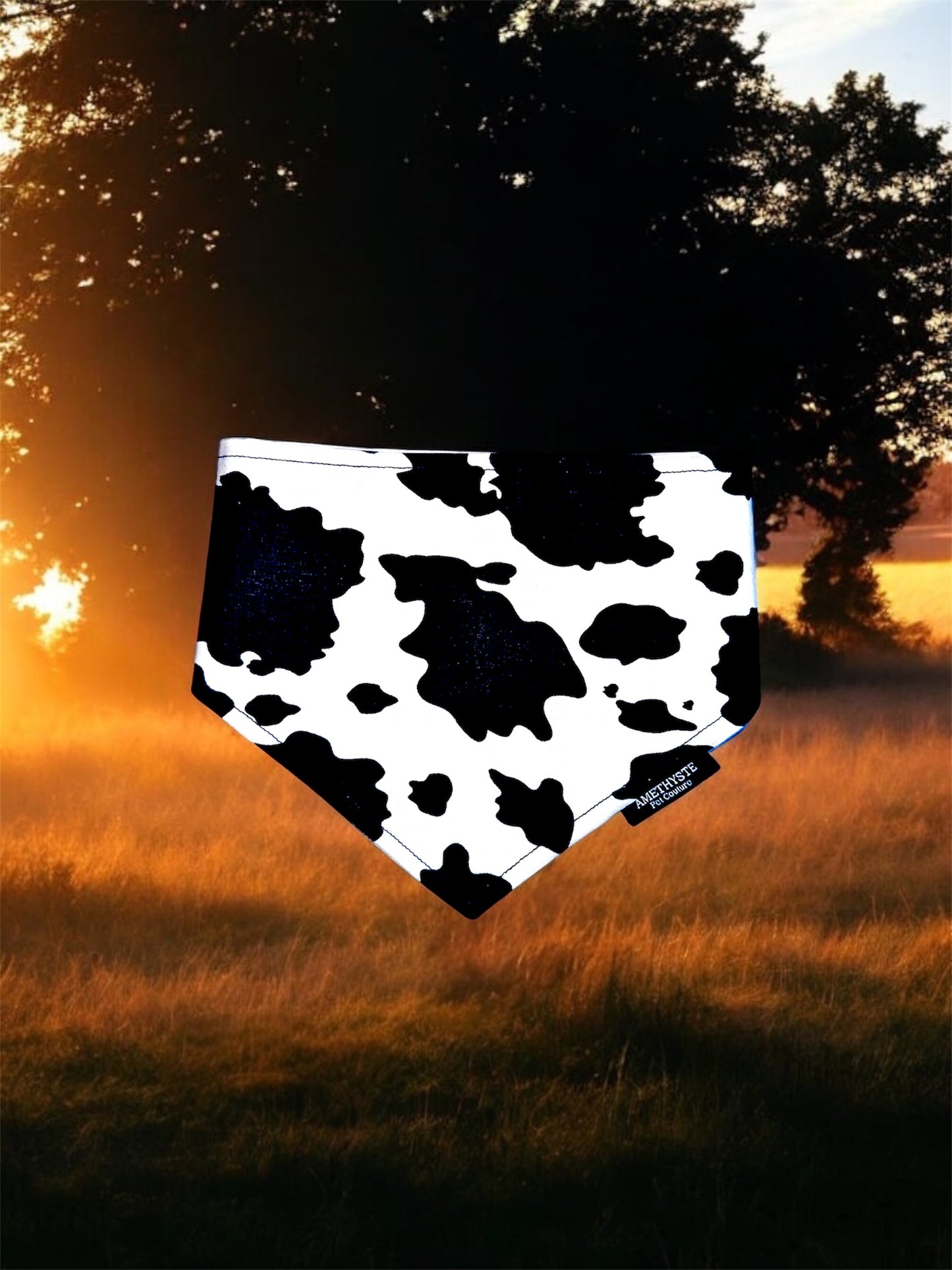 “Lasso” 🐮