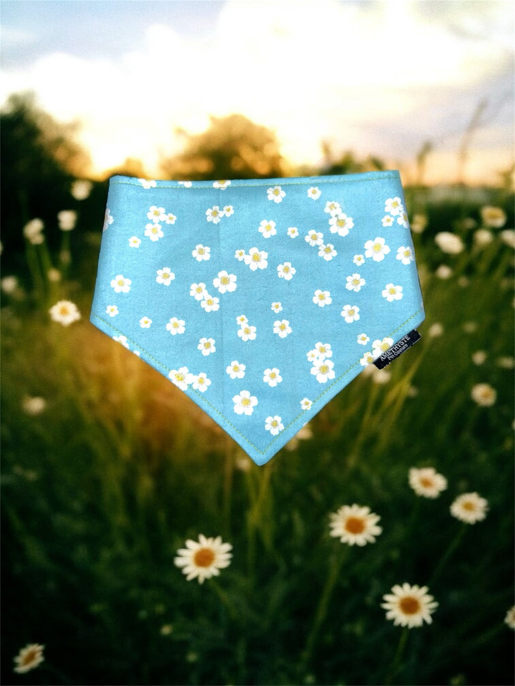“Primavera”🌼