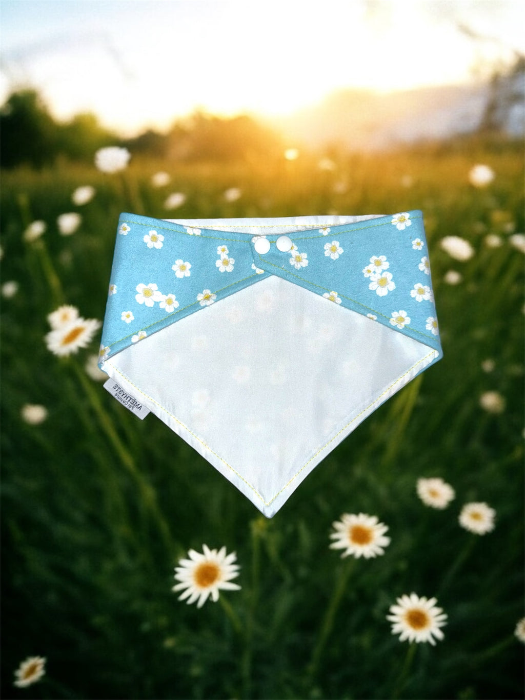 “Primavera”🌼