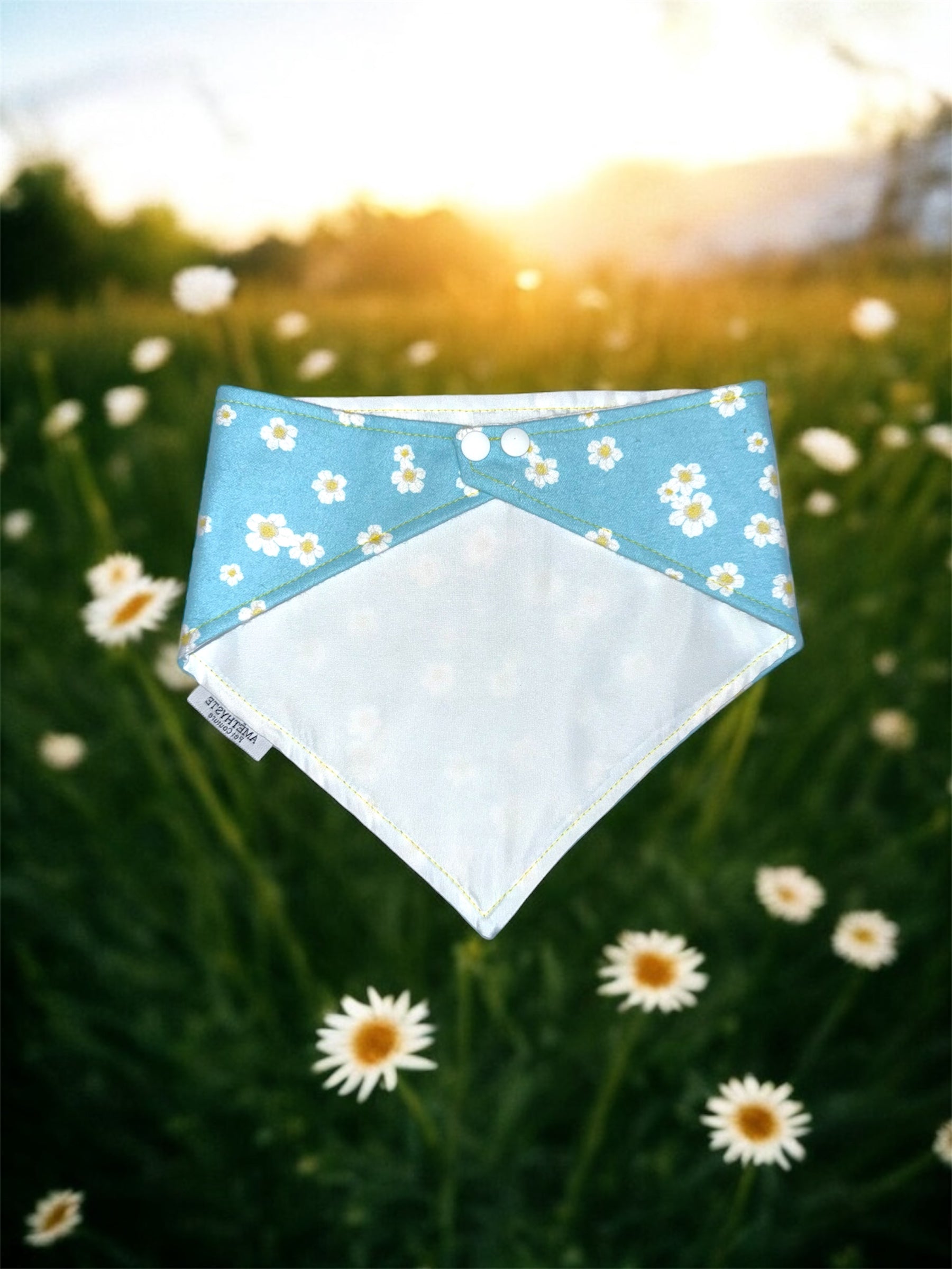 “Primavera”🌼