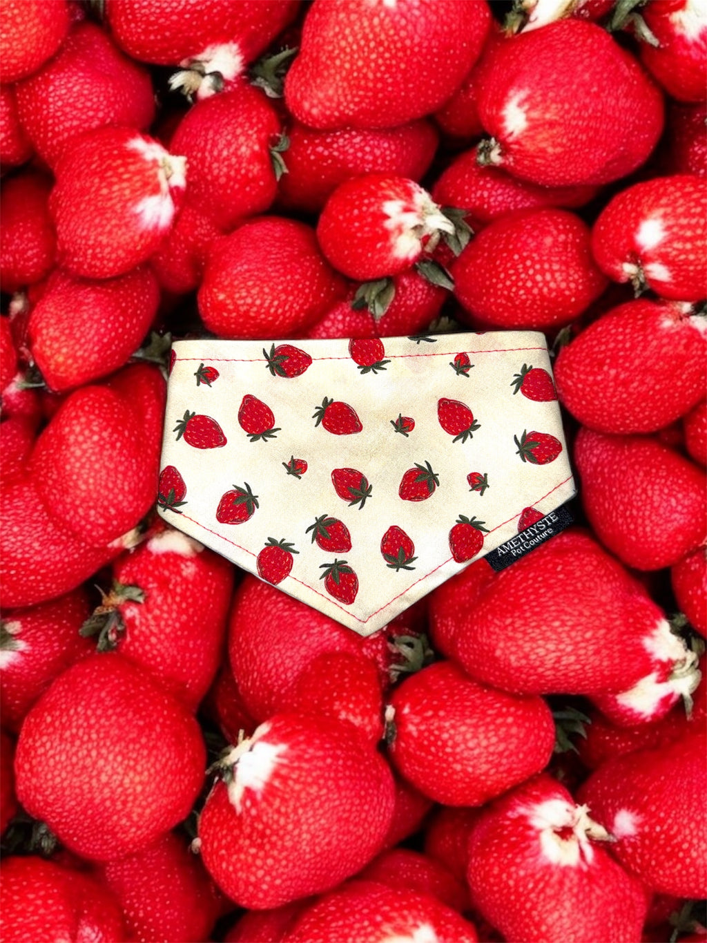 “Magdalena”🍓