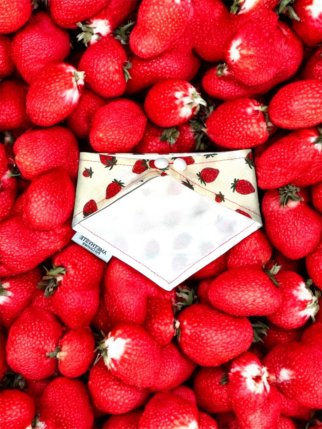 “Magdalena”🍓
