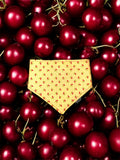 “Sundae” 🍒