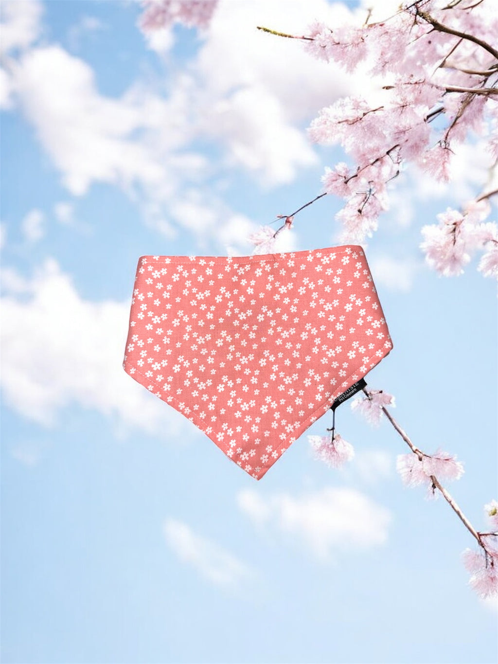 “Sakura” 🌸