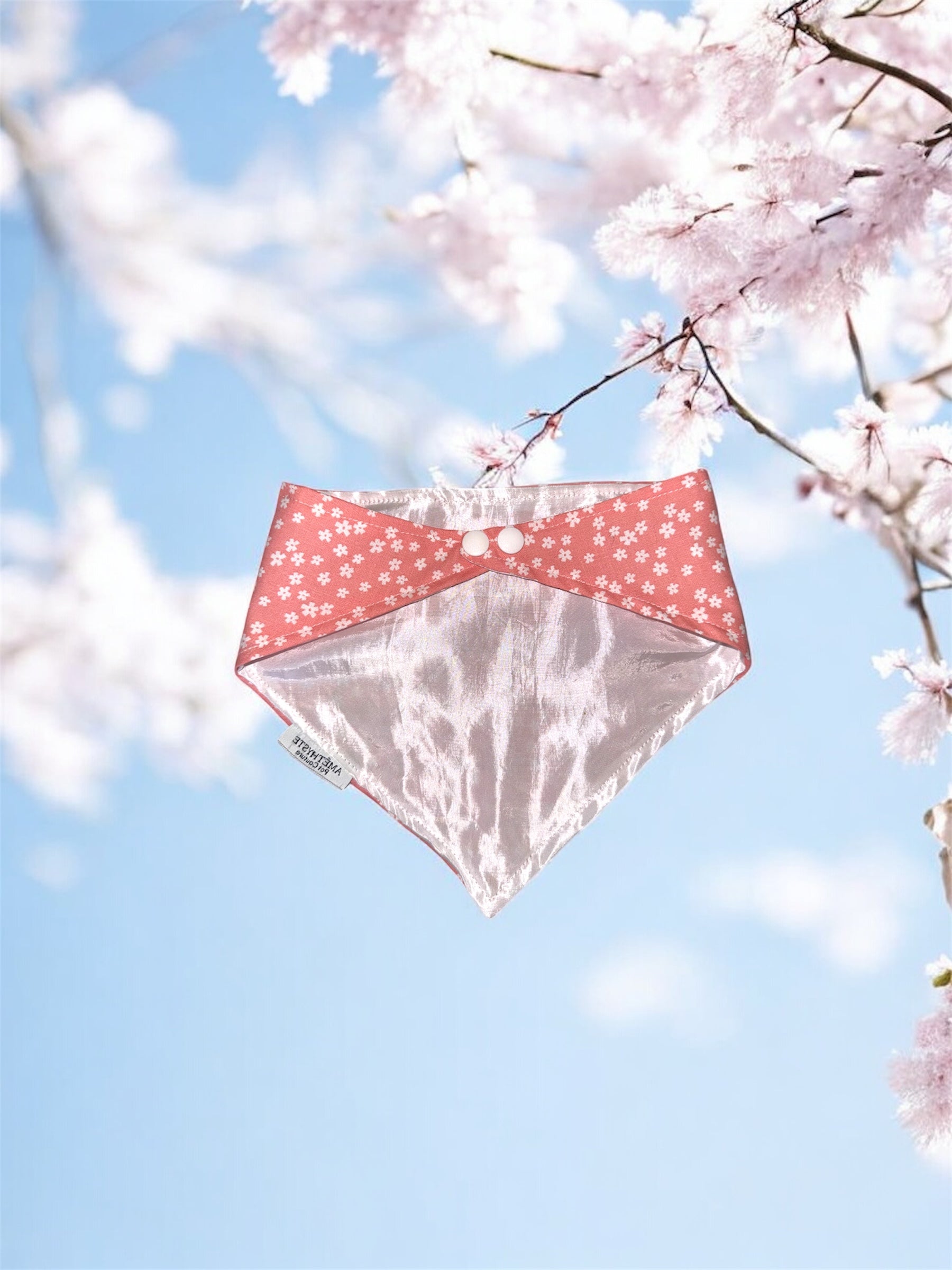 “Sakura” 🌸