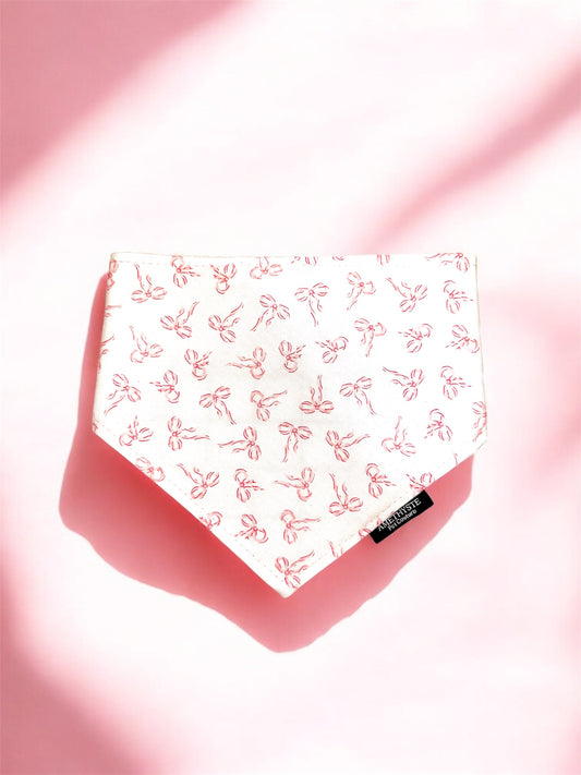 “Coquette”🎀