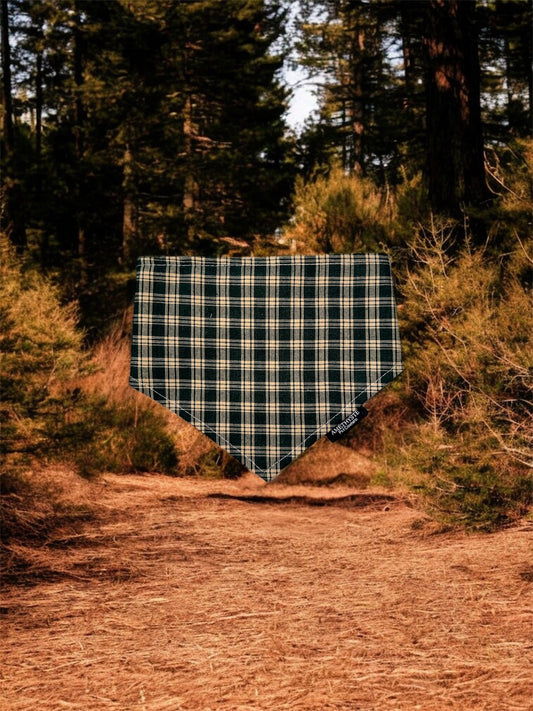 “CampFire”