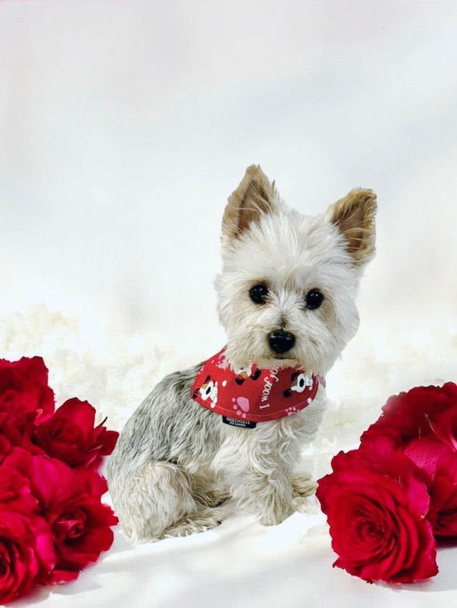 “Pawlentines”